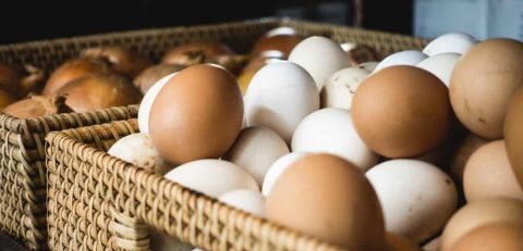 eggsfarm eggsfarm